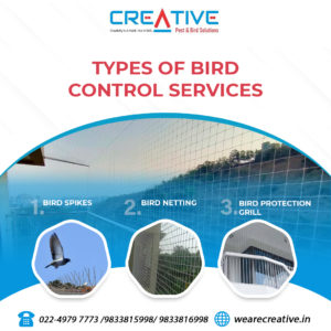 1st April - Types of Bird Control Service